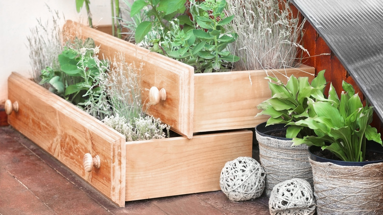 drawers used as flowerbeds