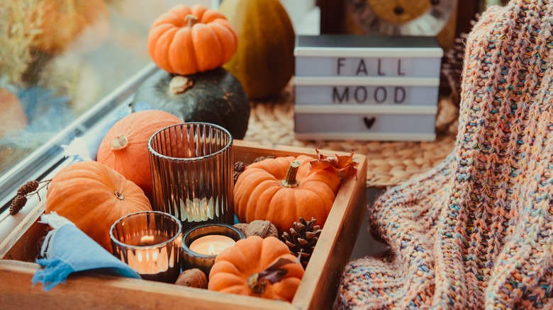 Pumpkins and pinecones