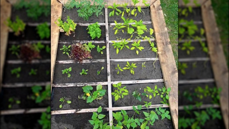 box spring garden bed