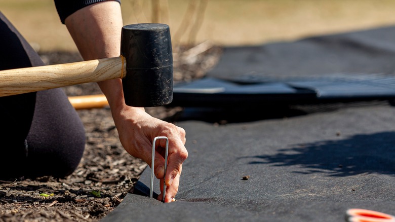 A person installing a landscape fabric weed barrier