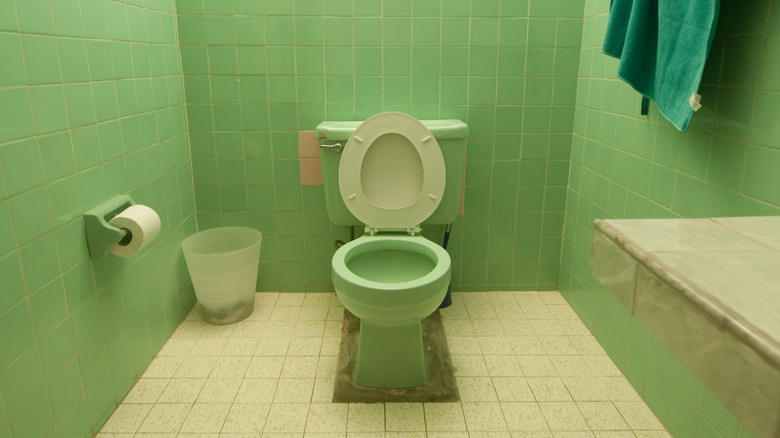 old toilet in green bathroom