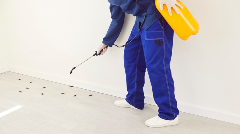 pest control exterminator working