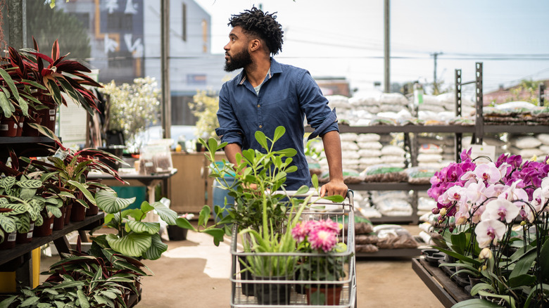 Man shopping for plants