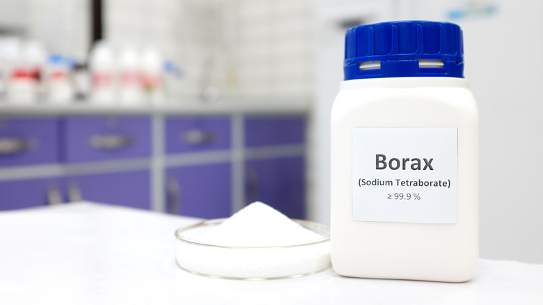 A bottle of Borax next to a mound of Borax on a counter