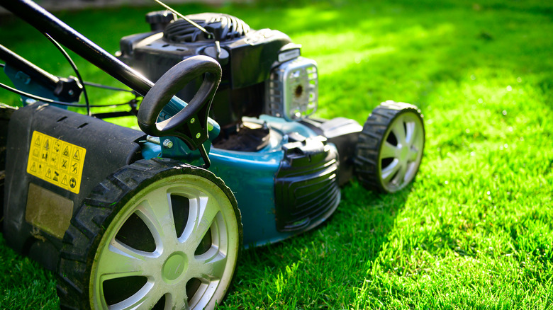 Lawn mower on grass