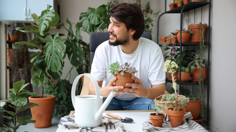 Man holds succulent plant