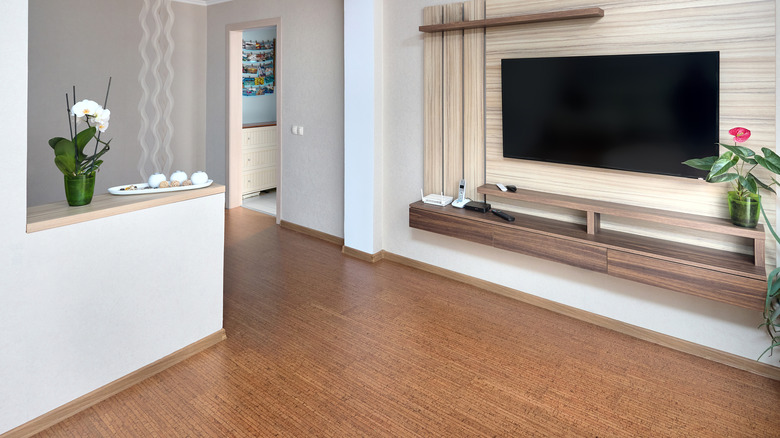 Living area with cork floor