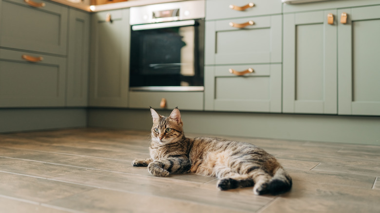 Laminate flooring in kitchen