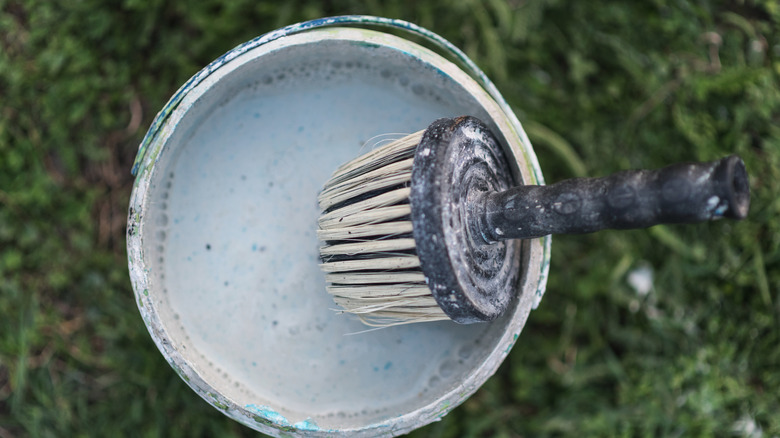 Bucket of limewash and brush