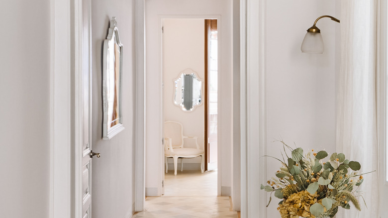 Older house hallway with plant