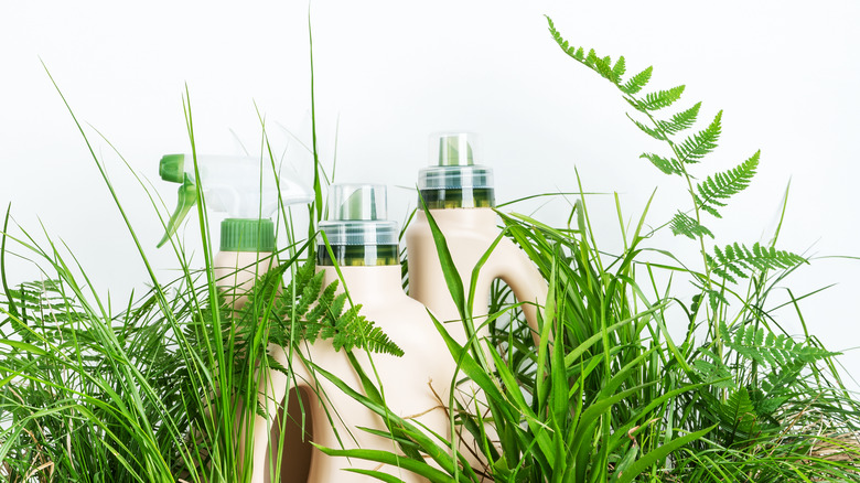 Laundry detergent in green plants