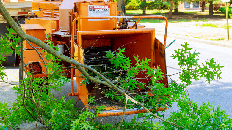 Wood chipper and tree branch