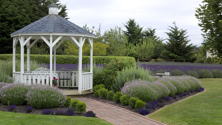 Gazebo in a garden