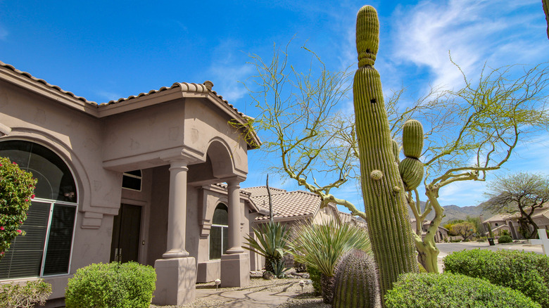 Home with cactus in yard