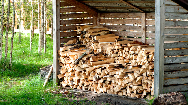 Firewood stacked in drying shed