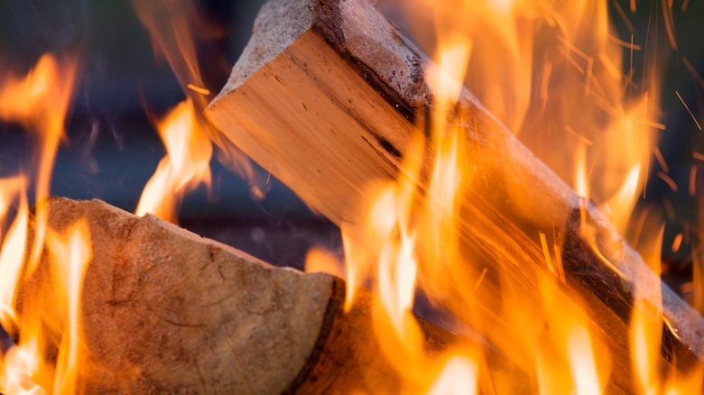 Wood burning in a fireplace