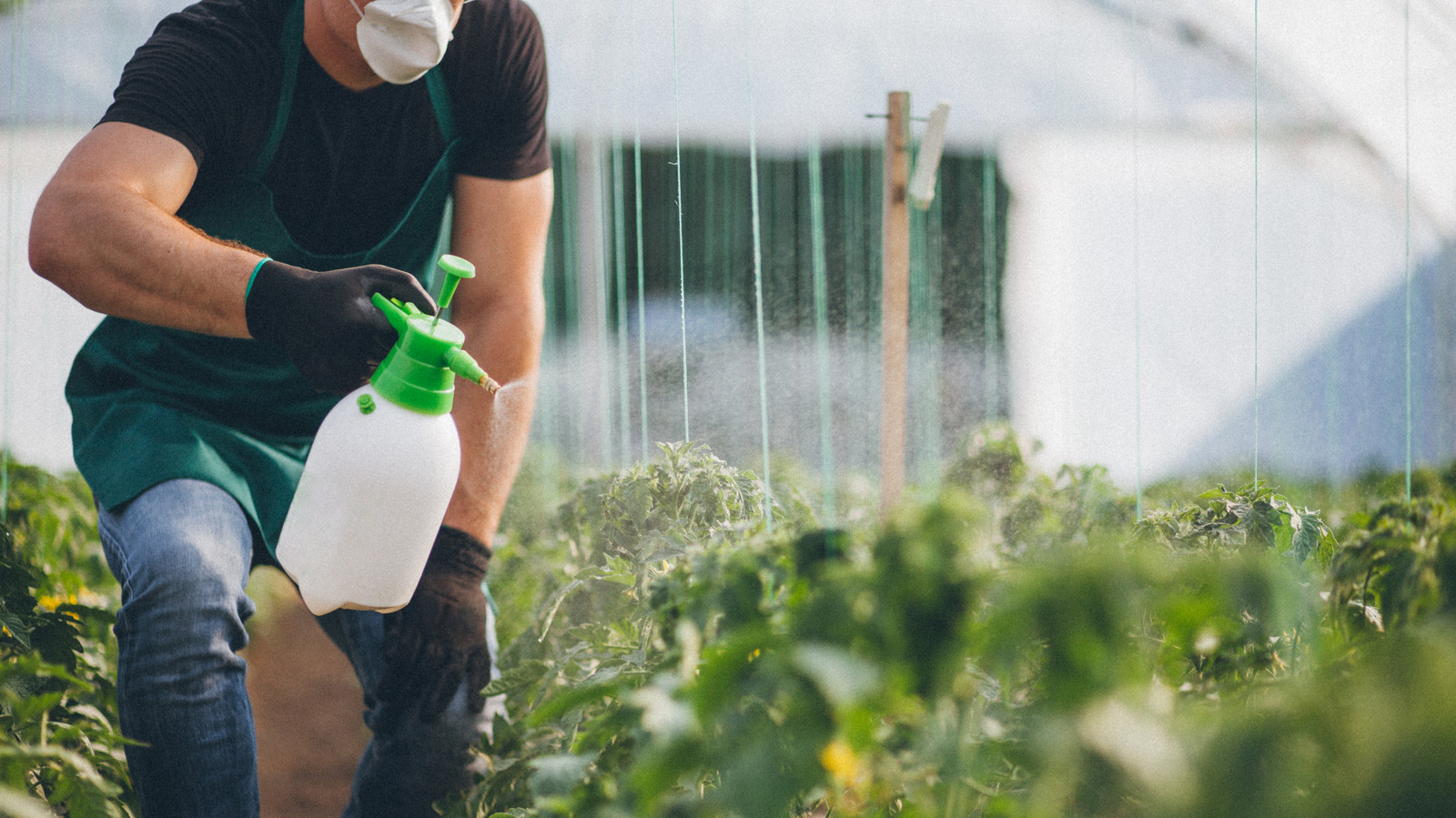 Garden plant bug spray