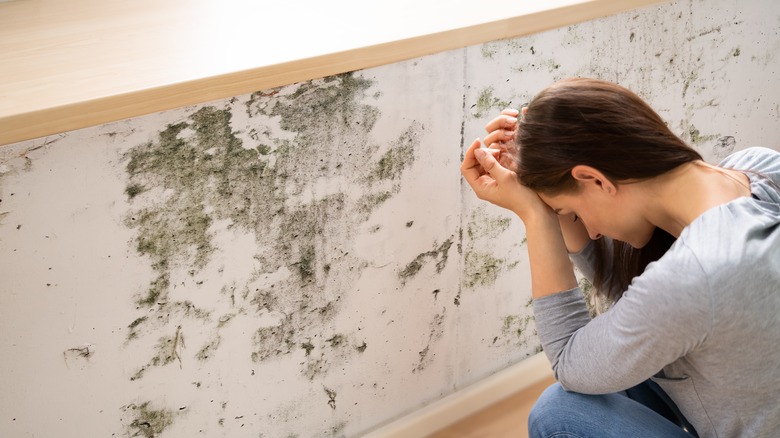 woman looking at mold on wall