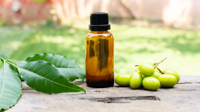 Neem oil