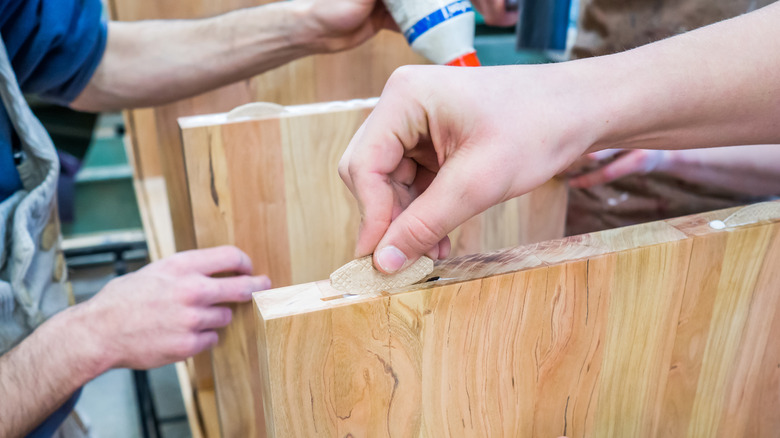 Person installing biscuit joint