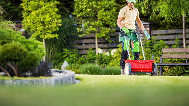 A lawn professional using a spreader to overseed a lawn