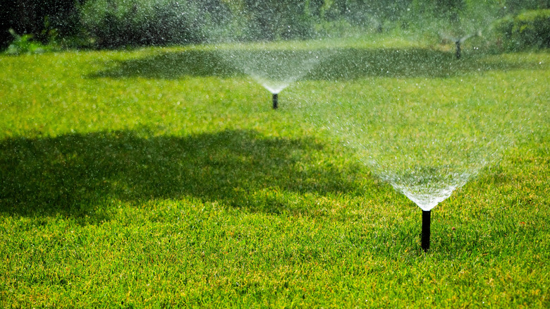 A sprinkler system spraying copious amounts of water onto a green lawn