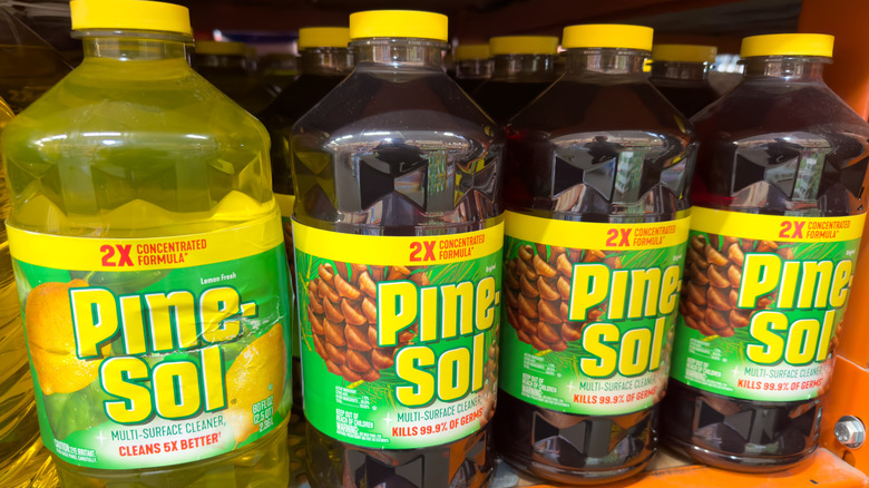 Pine-Sol bottles on a store shelf