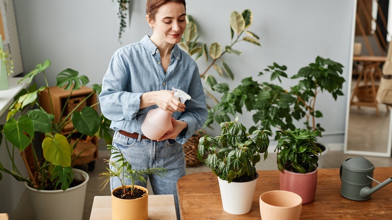 Happy person watering plants