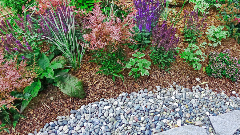 A tidy garden