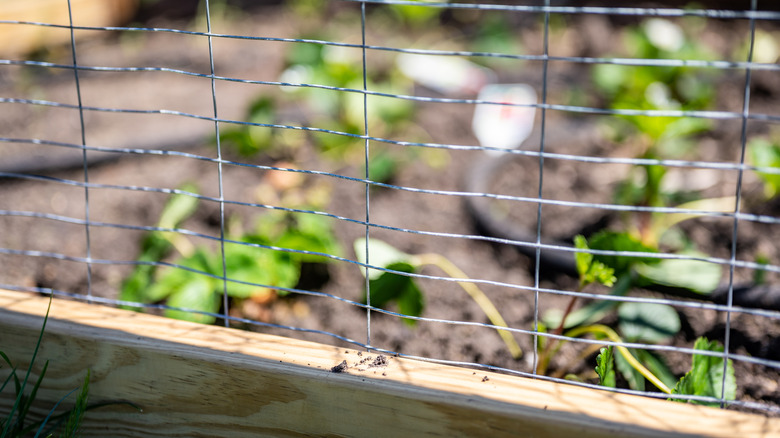 A snake fence