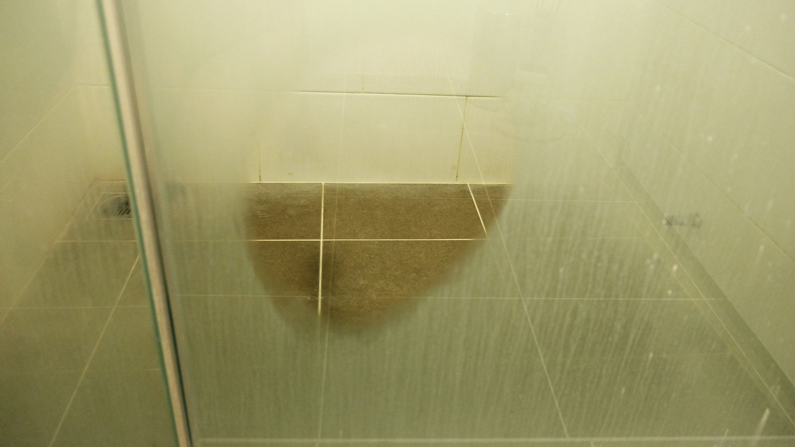 Is Rubbing Alcohol The Secret To StreakFree Shower Doors?