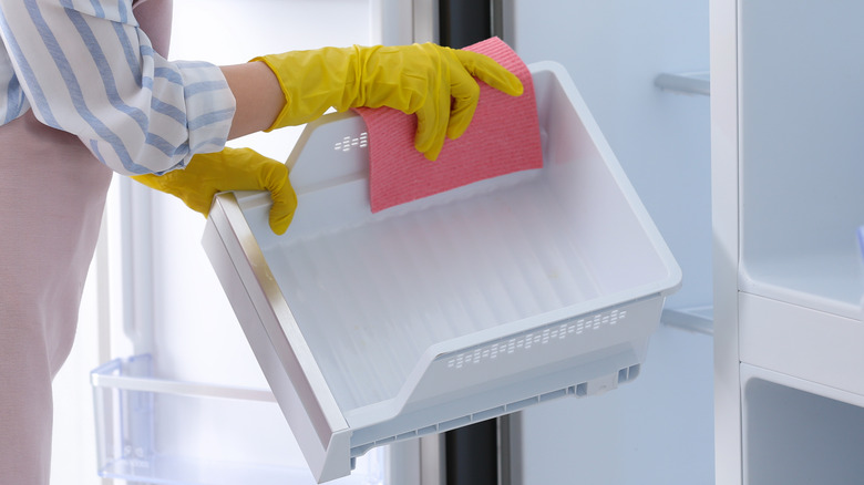 Person wiping refrigerator drawer