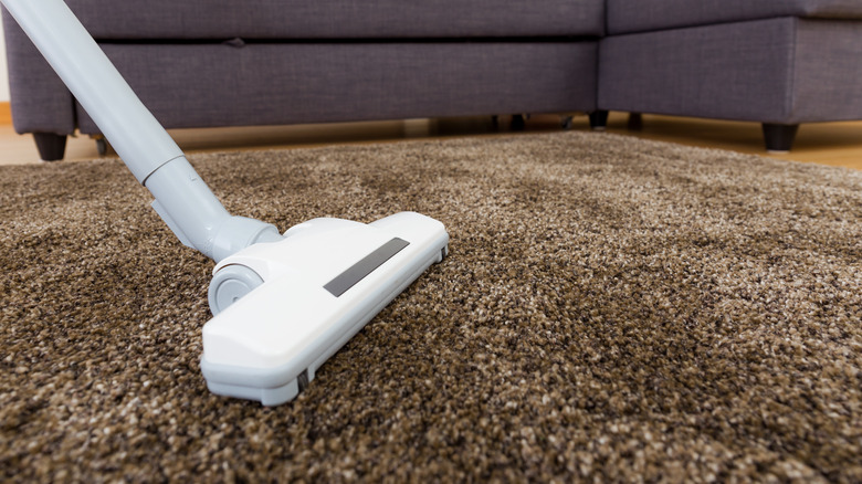 Vacuum shag rug 