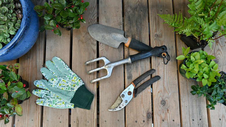 Gardening tools