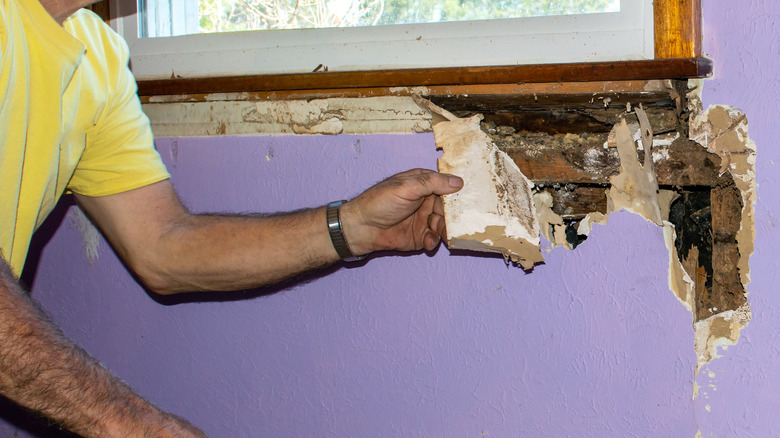 house damage caused by termites