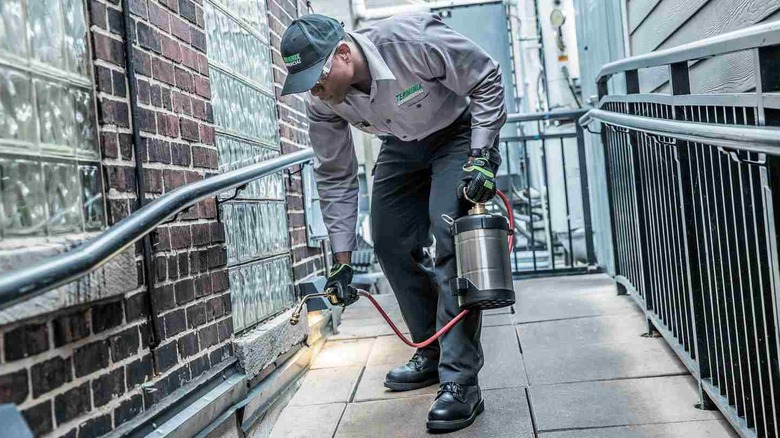 Terminix termite treatment being sprayed