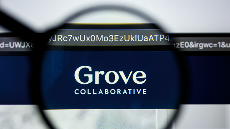 Illustrative Editorial of Grove collaborative