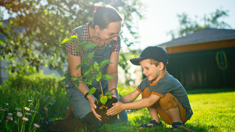 Woman and child replanting tree