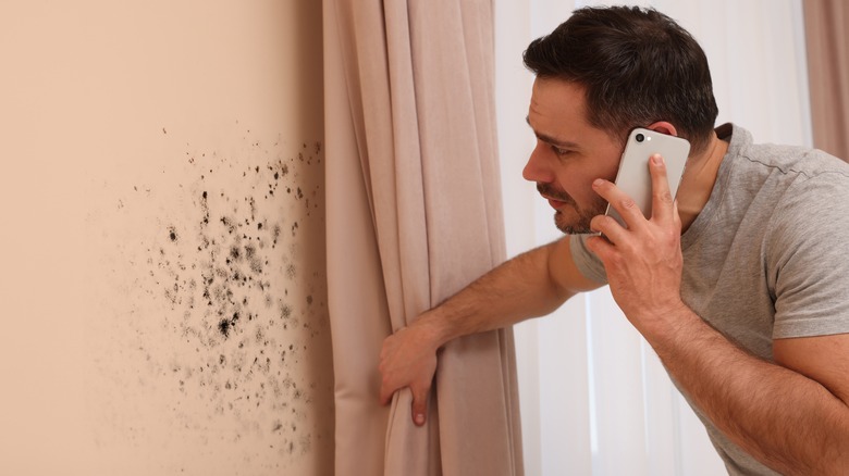 Man looking at mold on wall