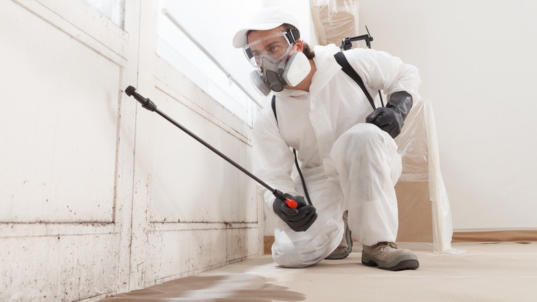 Mold remediation professional at work in house