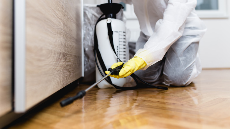 pest exterminator working in a kitchen