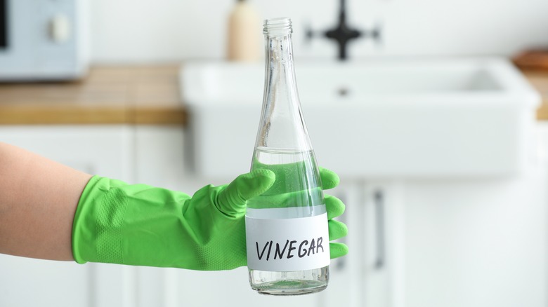 gloved hand holding vinegar bottle