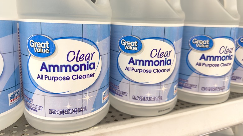 jugs of ammonia on shelves