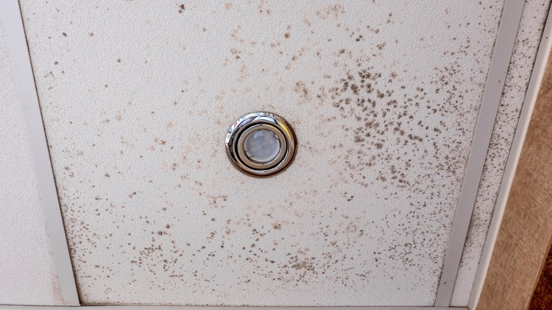 Mold on bathroom ceiling 