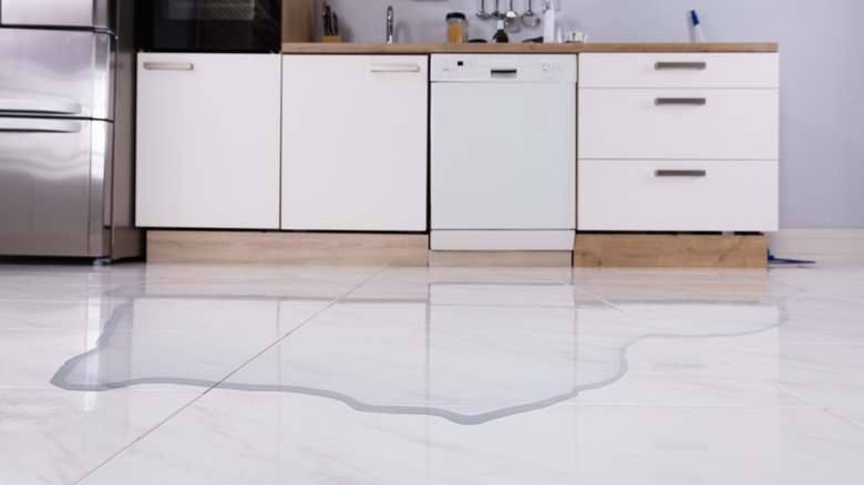 dishwasher leaking onto floor 