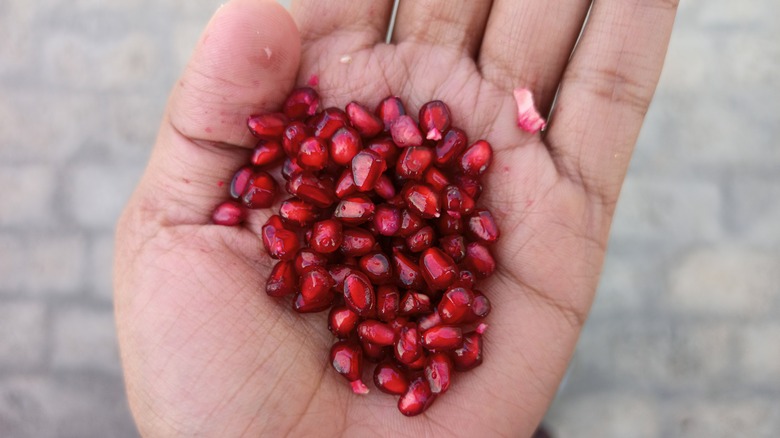 hand holding pomegranate seeds