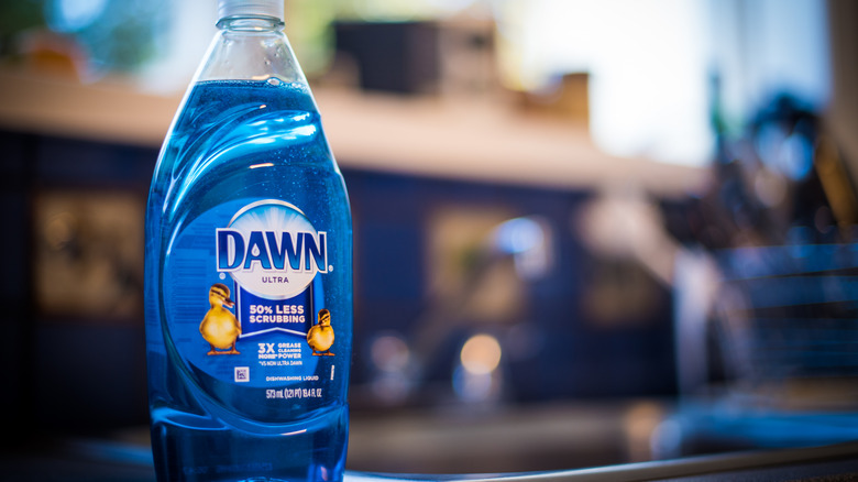 bottle of dawn dish soap