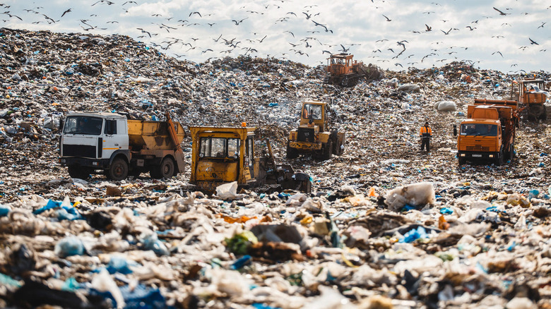 Bulldozers pushing garbage in landfill