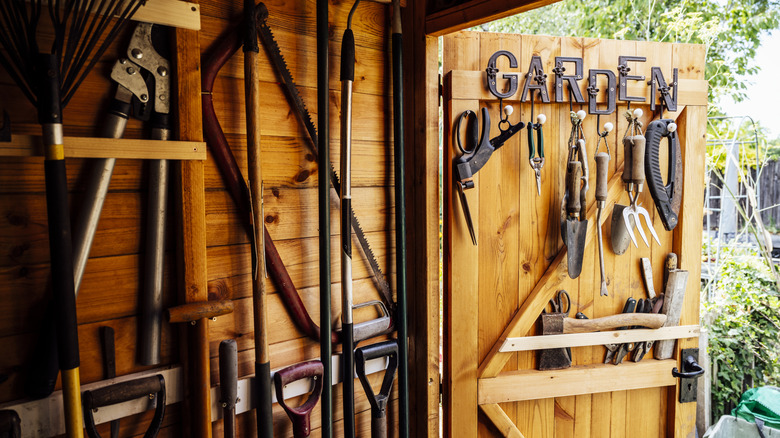 An inside view of a wooden shed, decked with garden tools on the walls