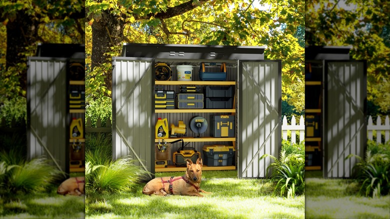 Asofer's outdoor garden shed with open doors and dog in front of it